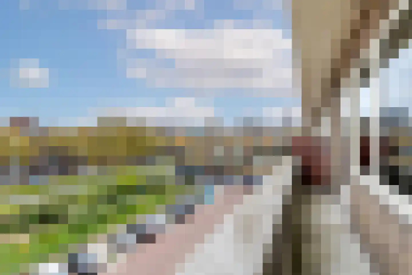 Ungerplein 9 B Rotterdam thumbnail 46