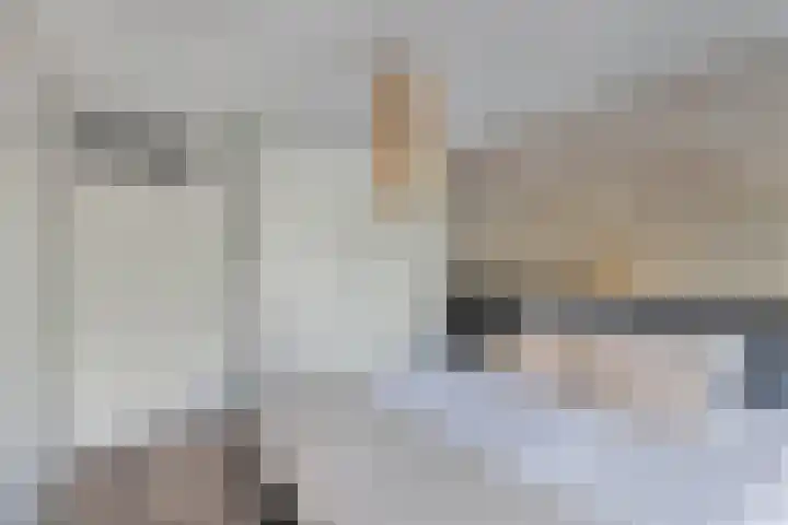 Unia 6 Drachten thumbnail 21