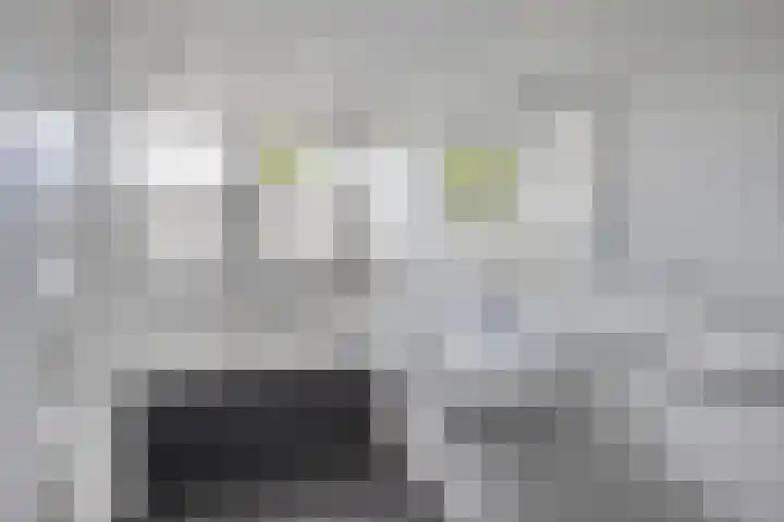 Unia 6 Drachten thumbnail 24