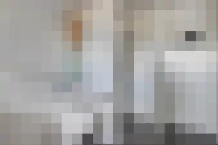 Unia 6 Drachten thumbnail 26