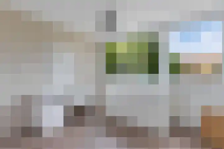 Unia 6 Drachten thumbnail 28