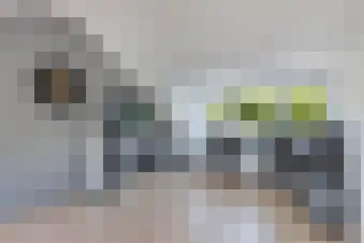 Unia 6 Drachten thumbnail 34