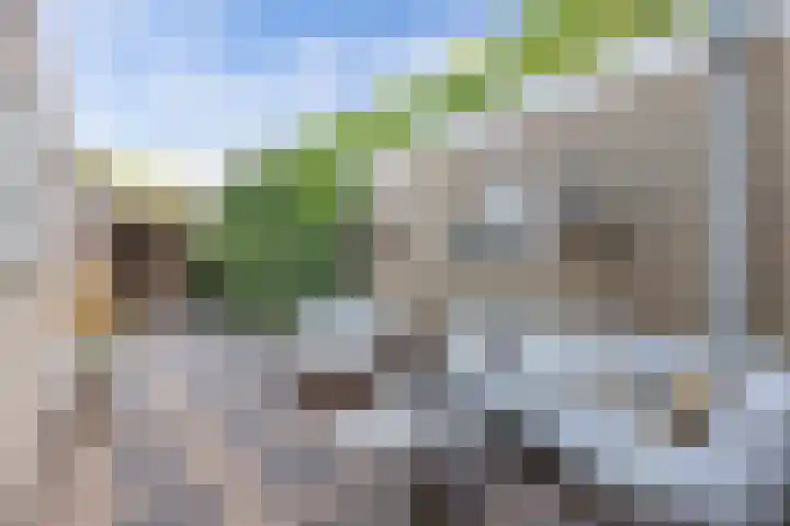 Unia 6 Drachten thumbnail 38