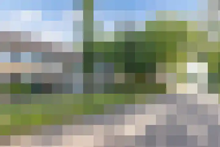 Unia 6 Drachten thumbnail 45