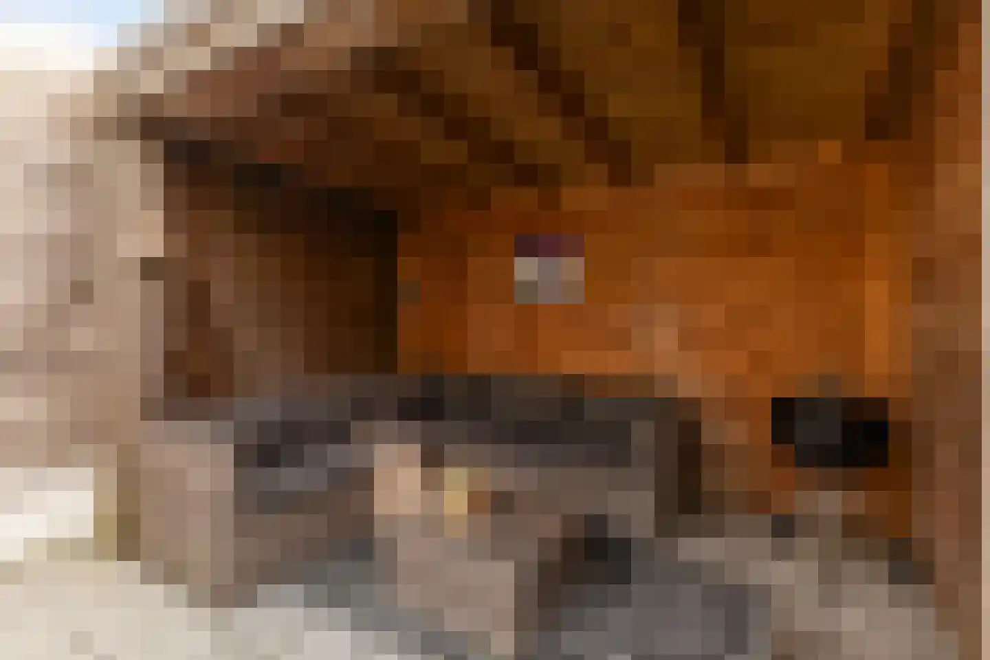Uniabuert 16 Stiens thumbnail 12