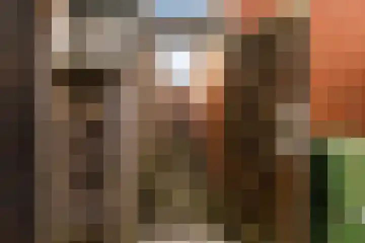 Uniabuert 16 Stiens thumbnail 14