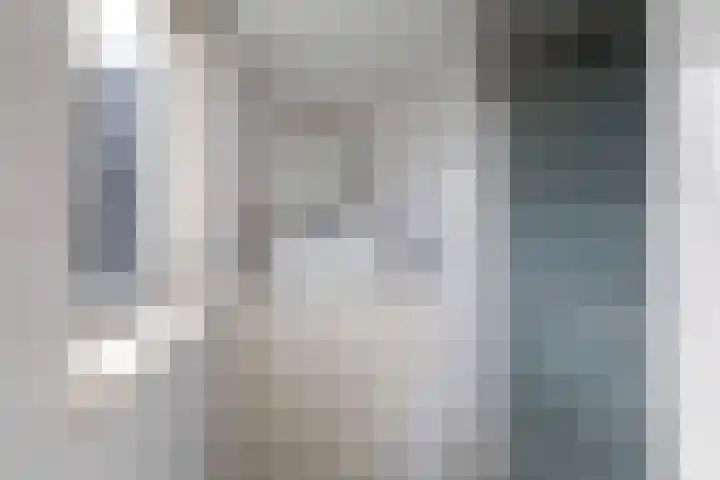 Uniabuert 16 Stiens thumbnail 20