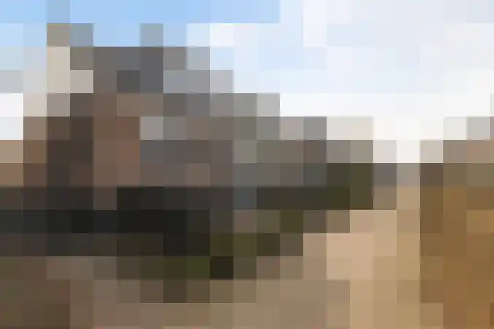 Uniabuert 16 Stiens thumbnail 22