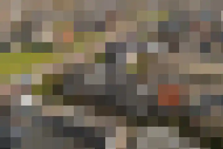 Uniabuert 16 Stiens thumbnail 25