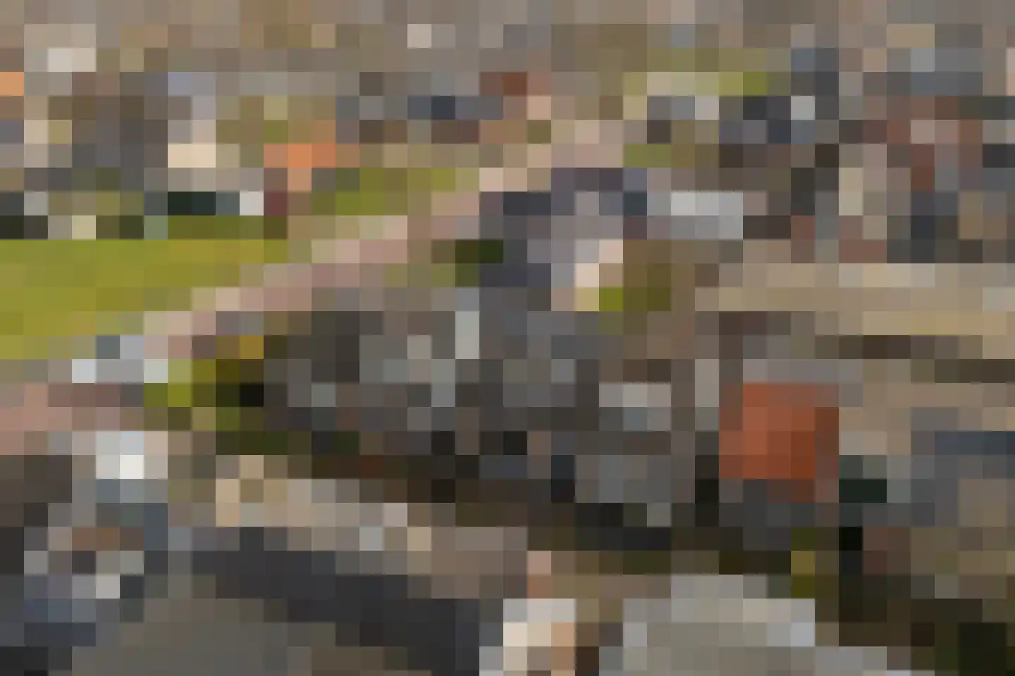 Uniabuert 16 Stiens thumbnail 25