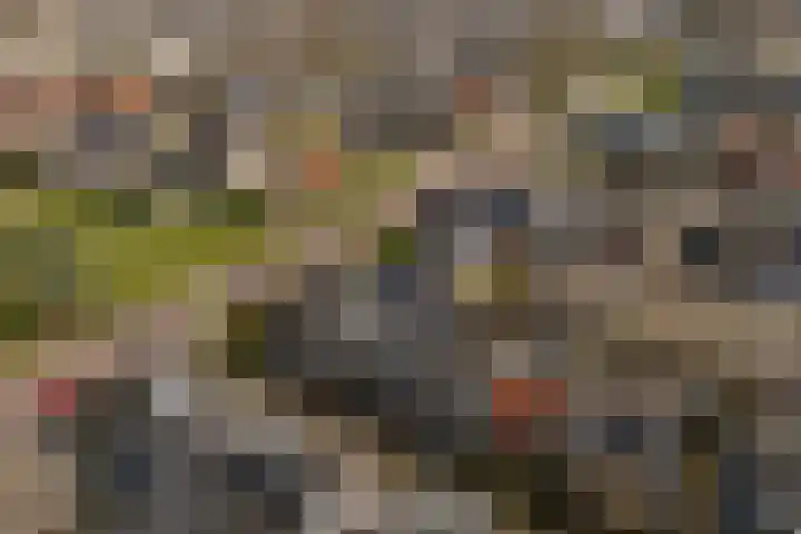 Uniabuert 16 Stiens thumbnail 26