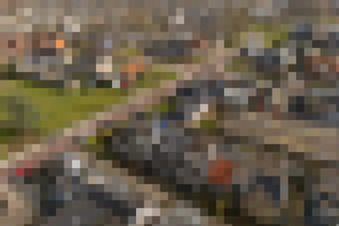 Uniabuert 16 Stiens thumbnail 26