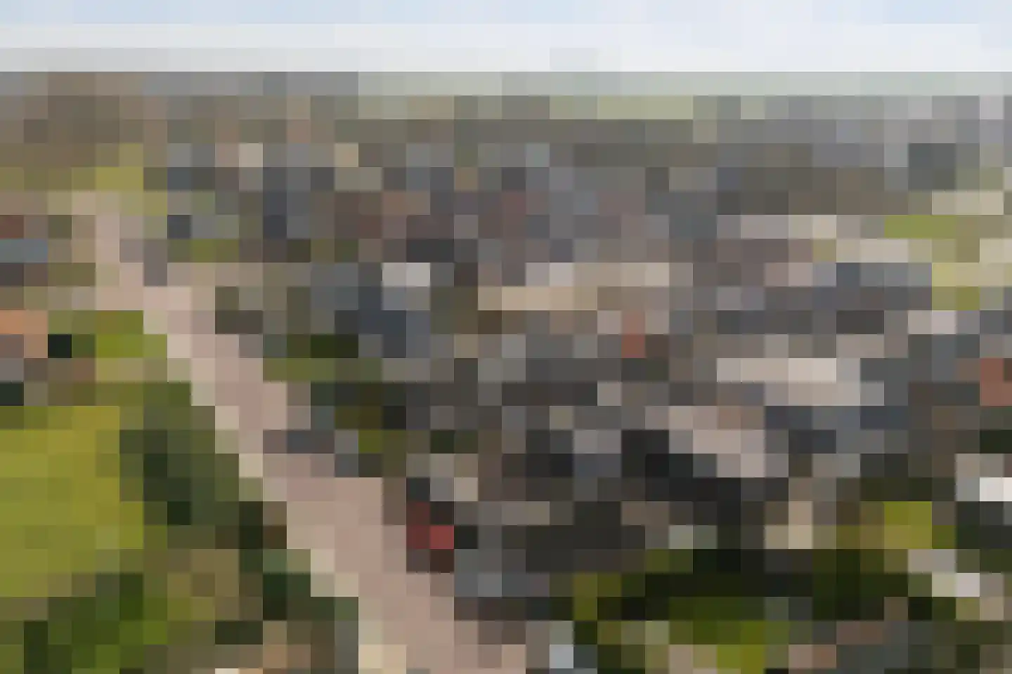 Uniabuert 16 Stiens thumbnail 27