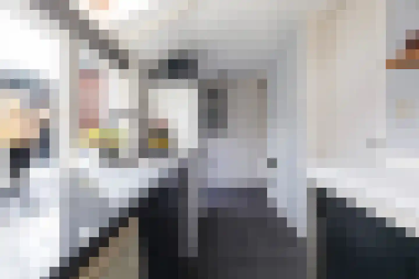 Uniabuert 16 Stiens thumbnail 8