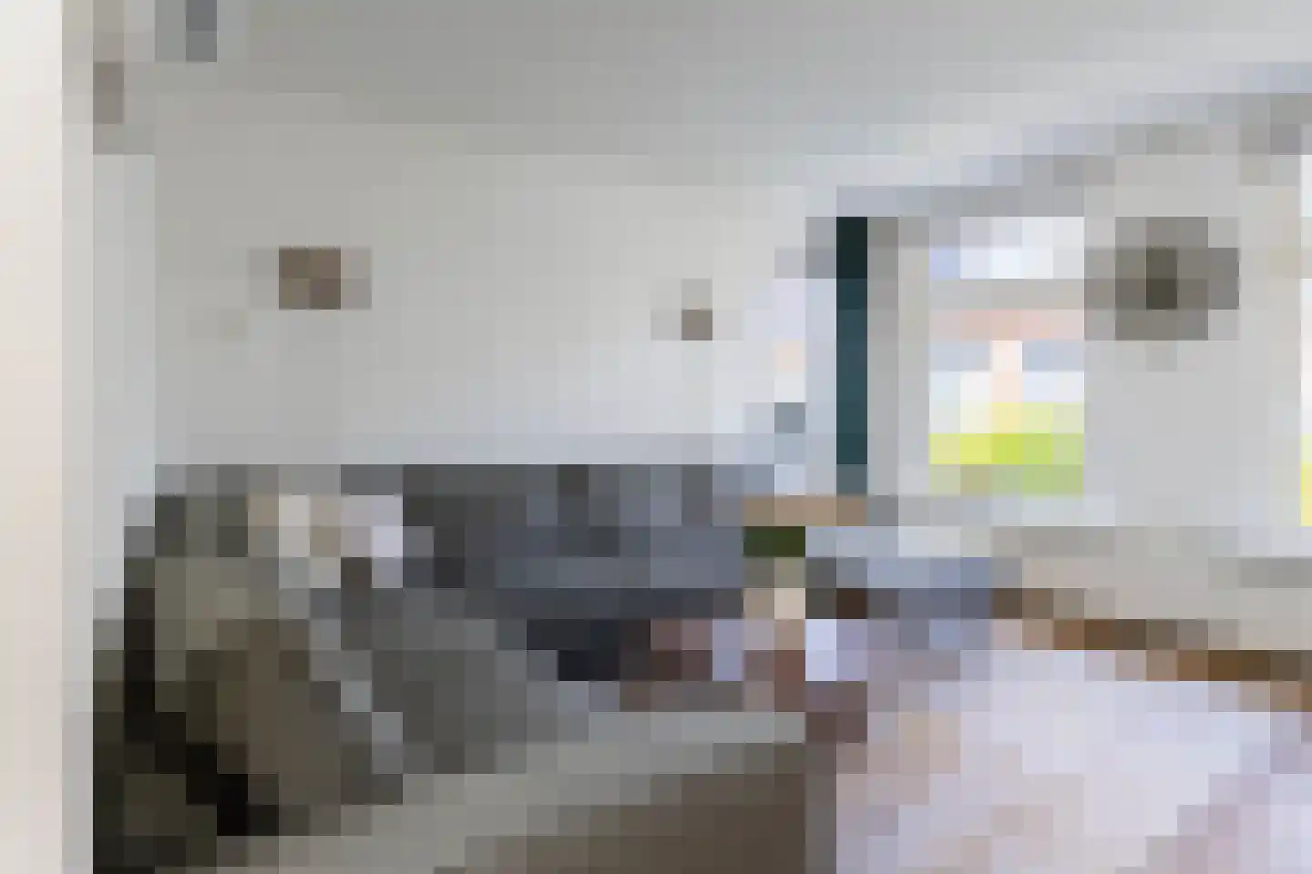 Uniabuert 18 Stiens thumbnail 19