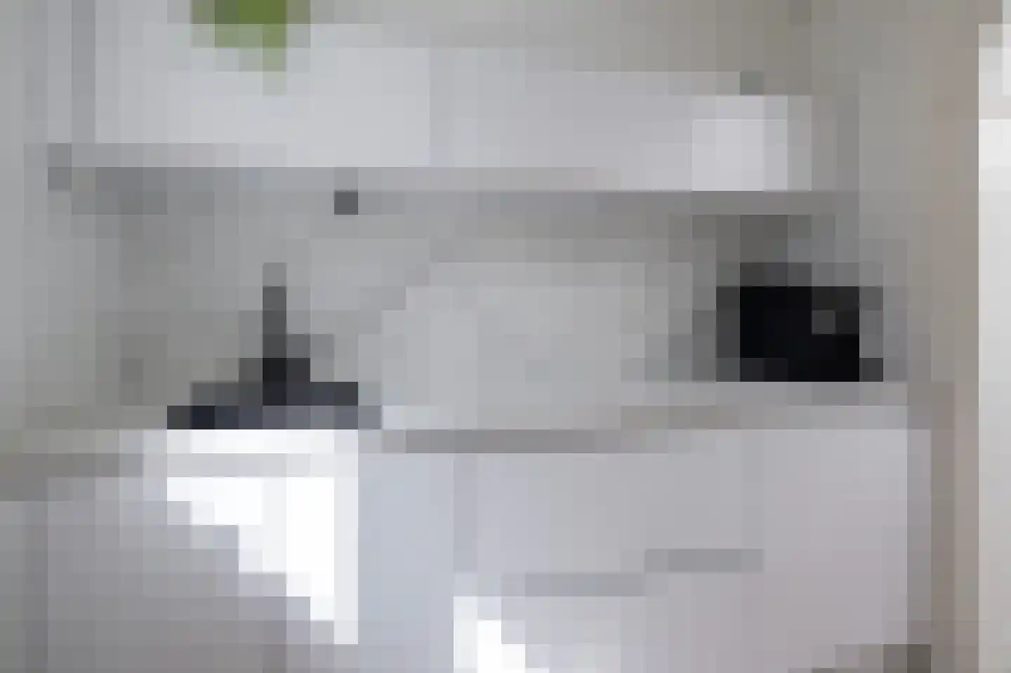 Uniabuert 18 Stiens thumbnail 27