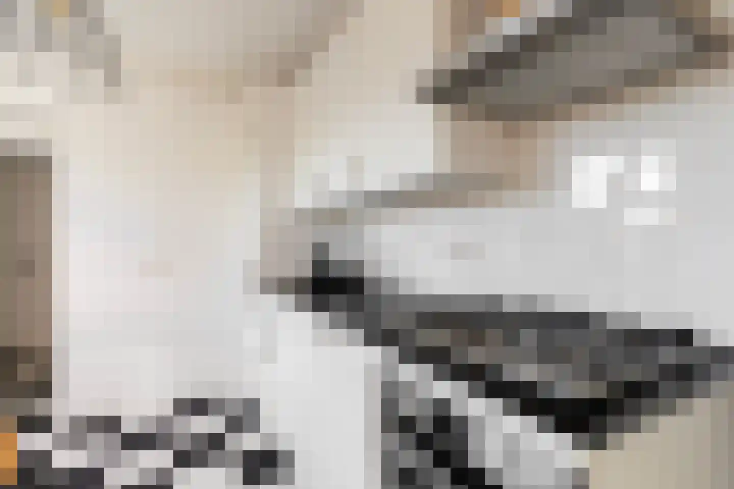 Uniabuert 20 Stiens thumbnail 13