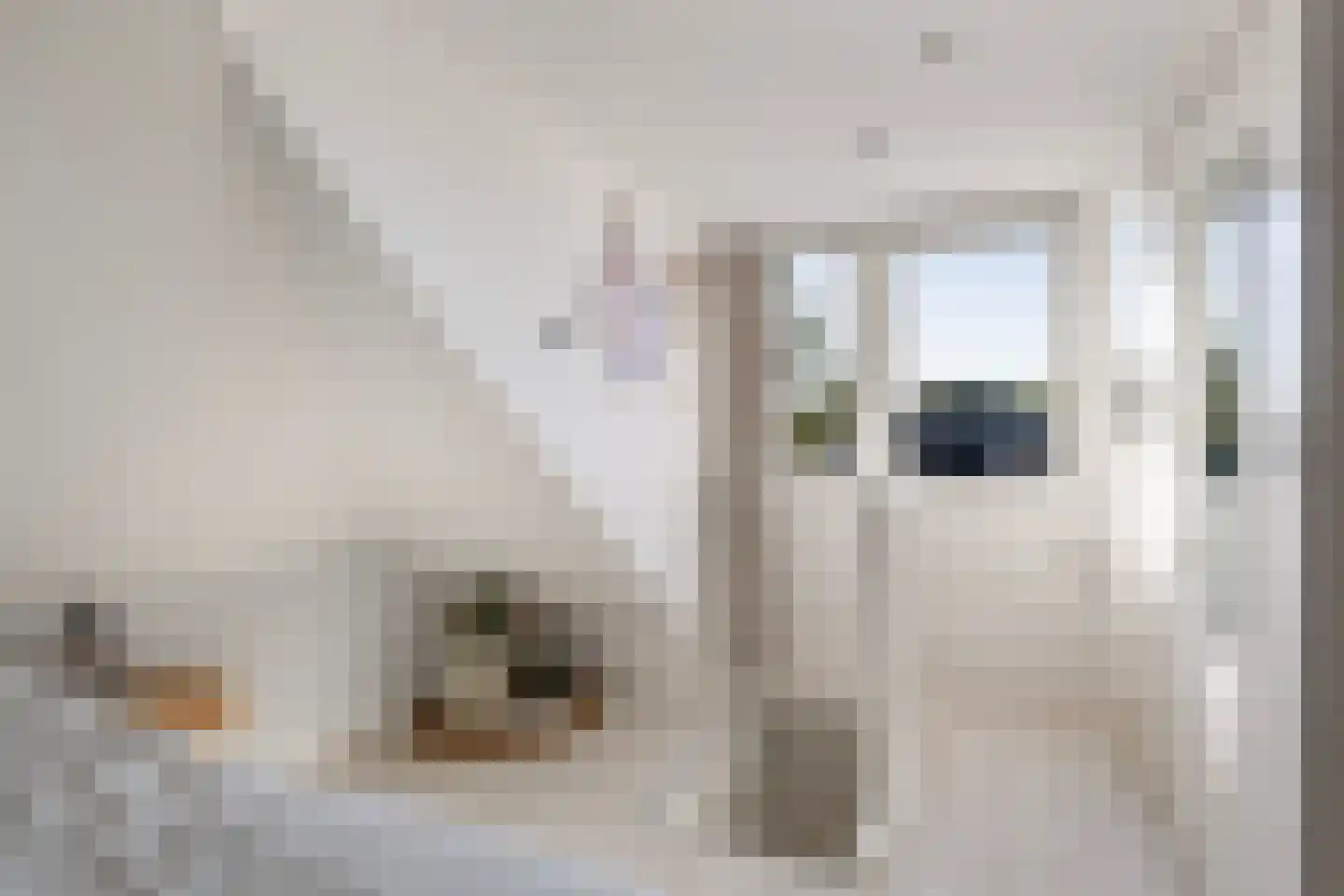 Uniabuert 20 Stiens thumbnail 19