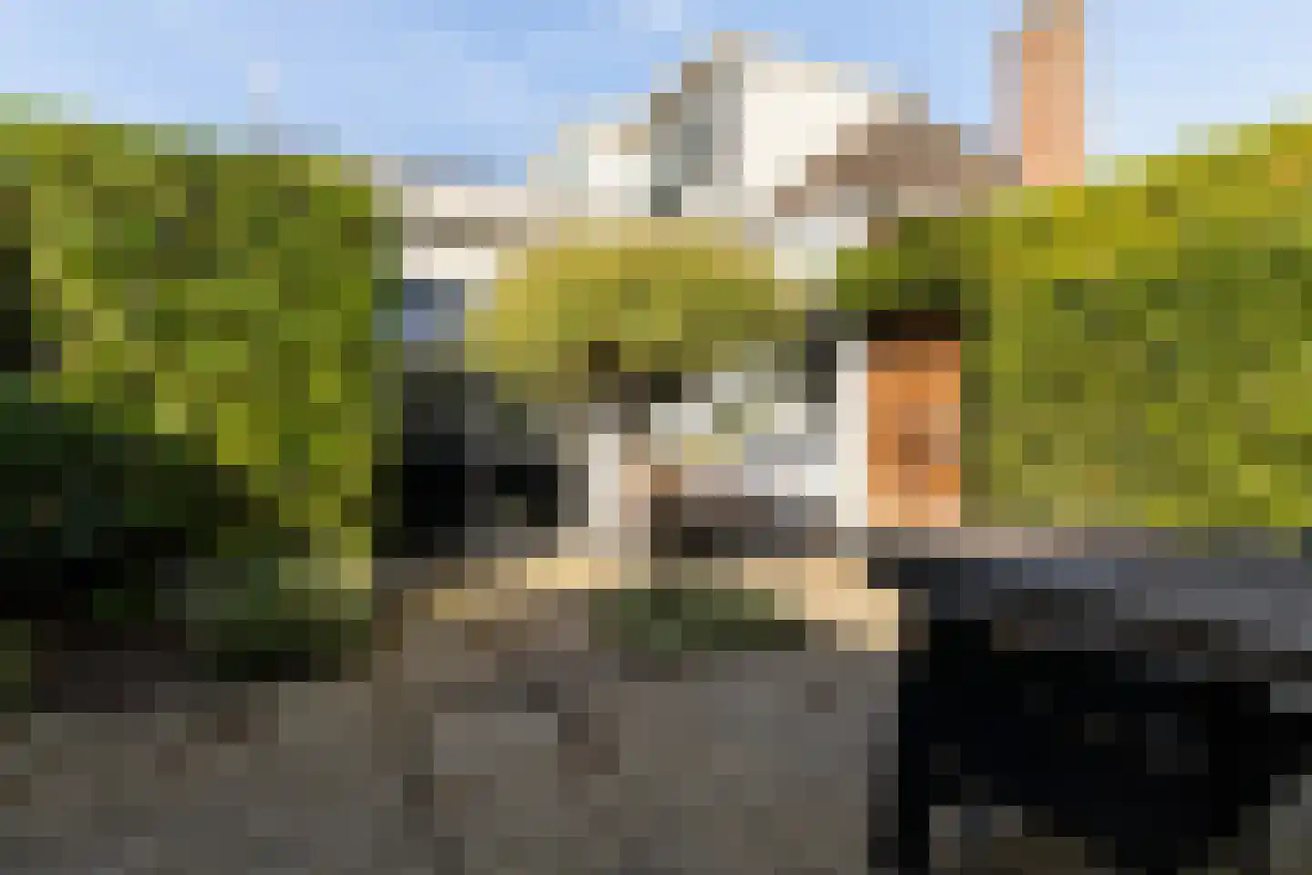 Uniabuert 20 Stiens foto 2