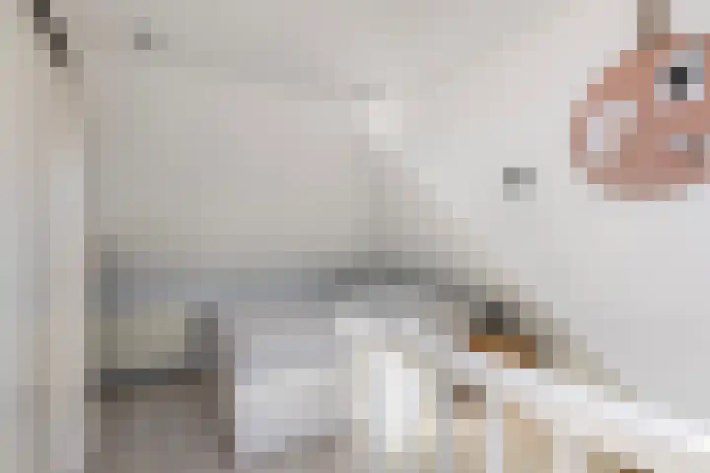 Uniabuert 20 Stiens thumbnail 20