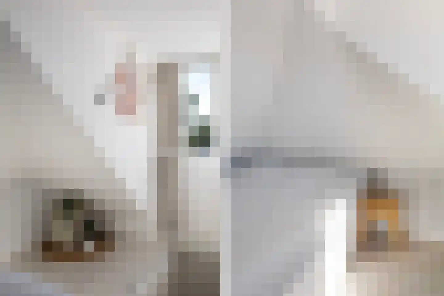 Uniabuert 20 Stiens thumbnail 21
