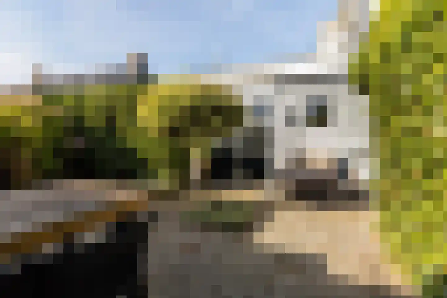 Uniabuert 20 Stiens thumbnail 22