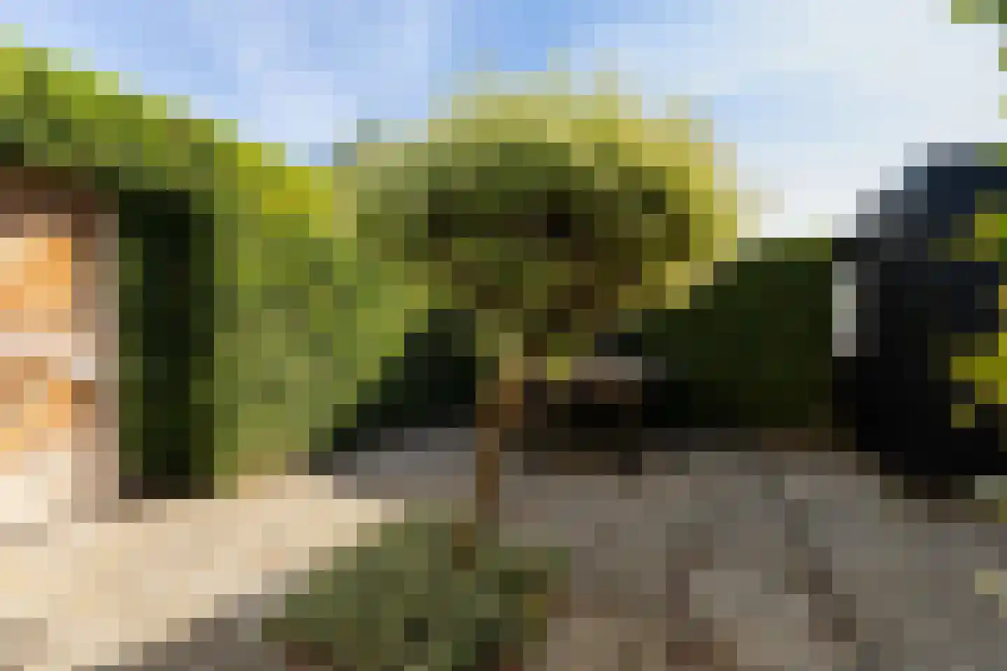 Uniabuert 20 Stiens thumbnail 25