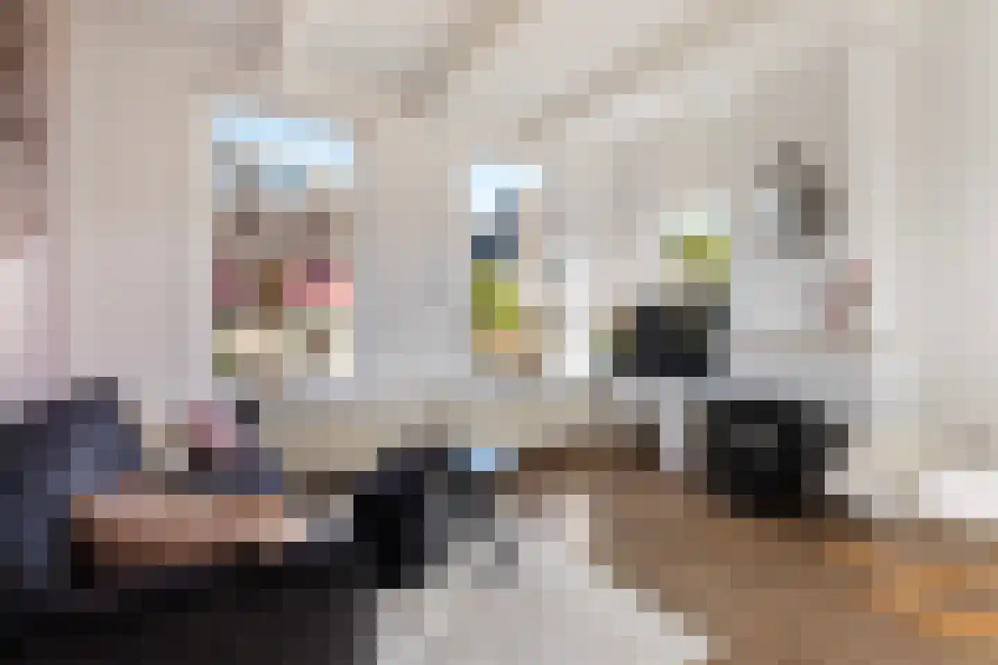 Uniabuert 20 Stiens foto 3