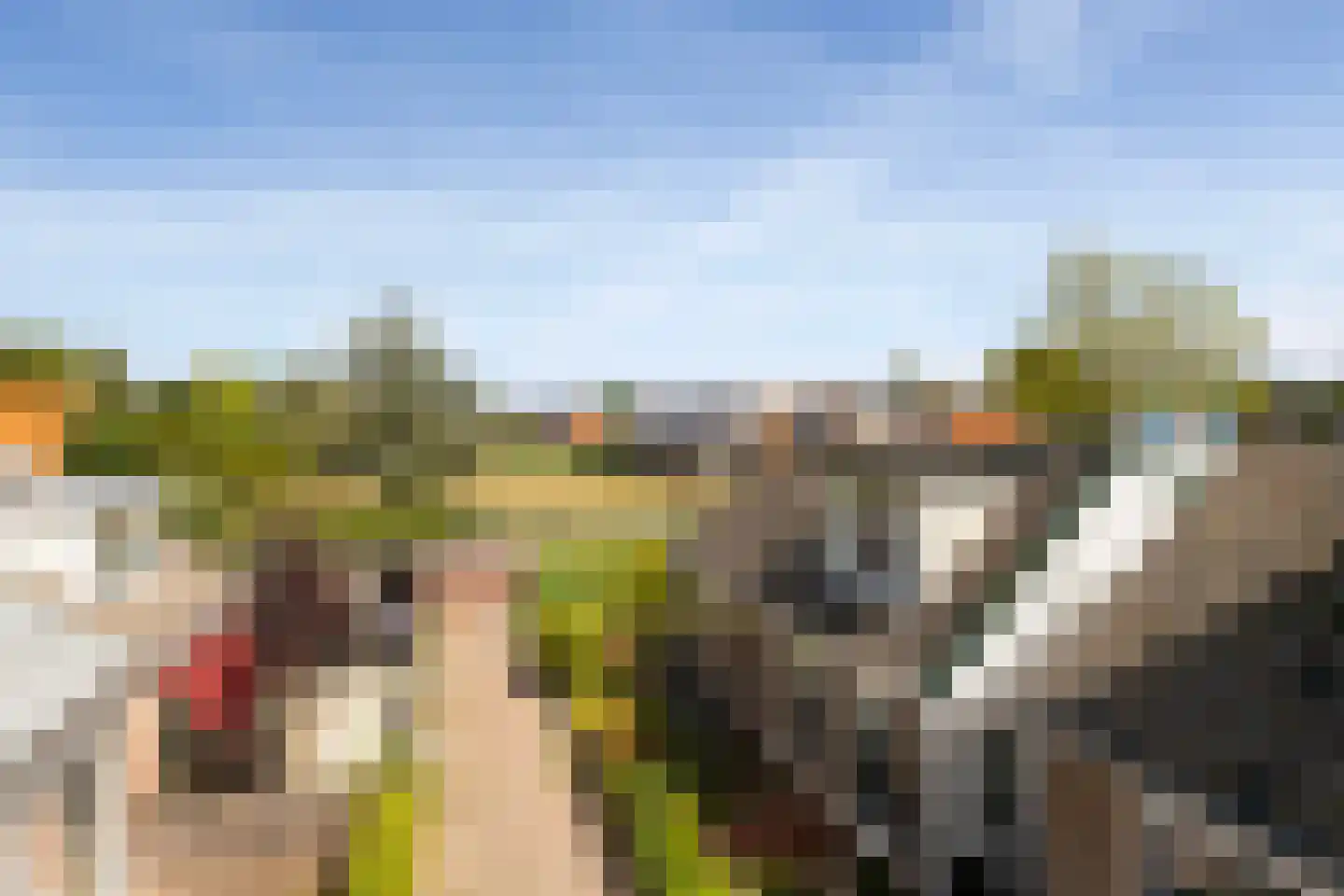 Uniabuert 20 Stiens thumbnail 34