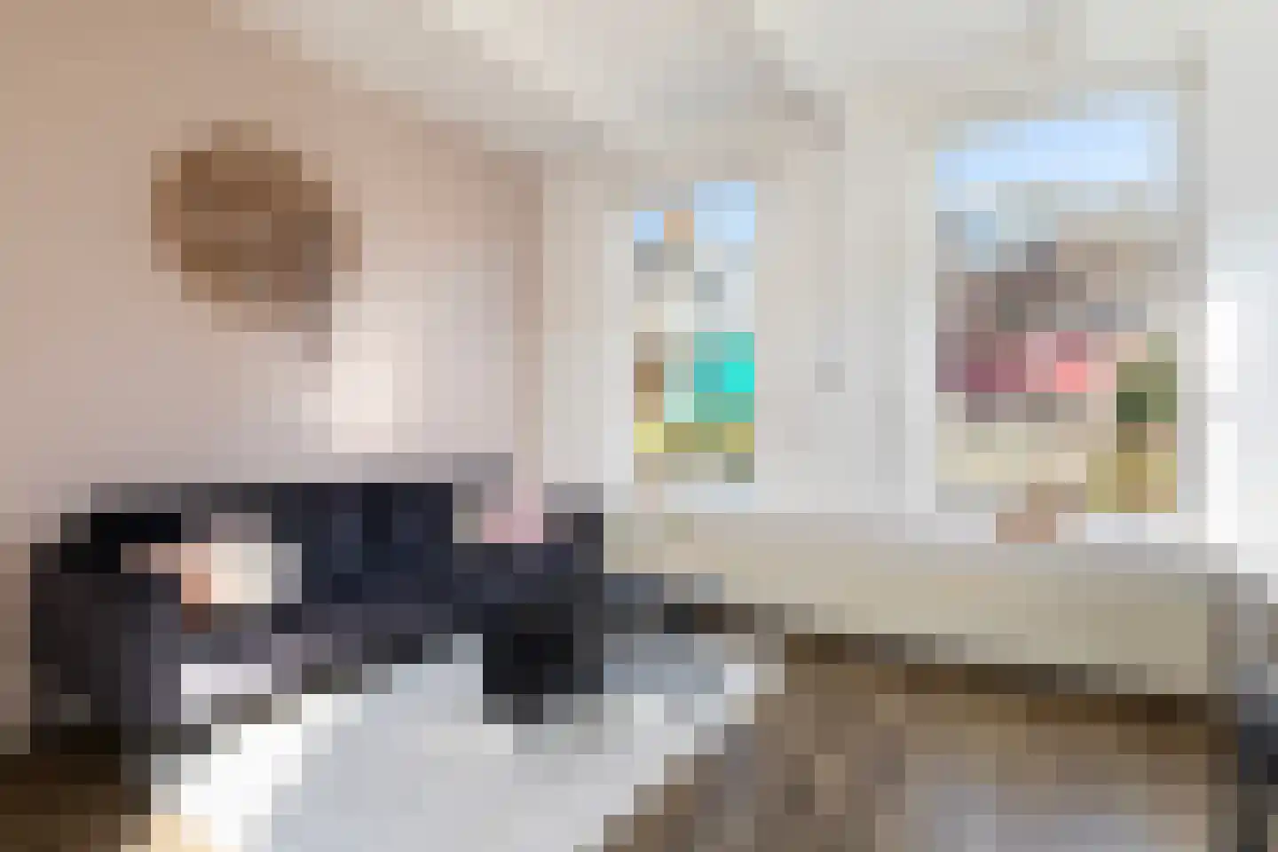 Uniabuert 20 Stiens thumbnail 7