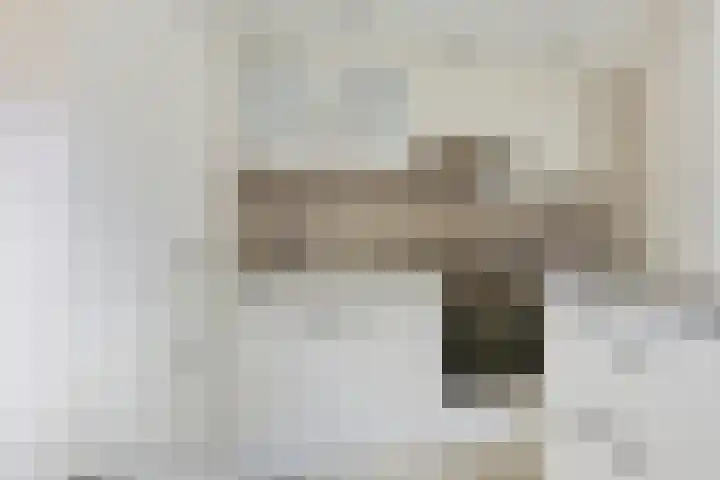 Uniabuert 6 Stiens thumbnail 10