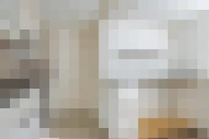 Uniabuert 6 Stiens thumbnail 11