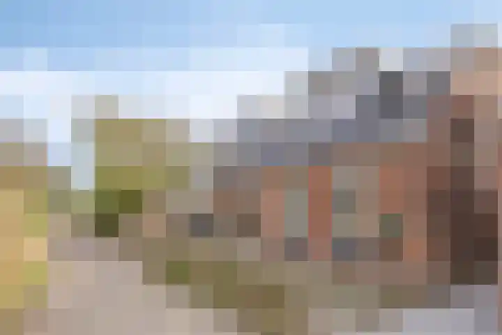 Uniabuert 6 Stiens foto 2