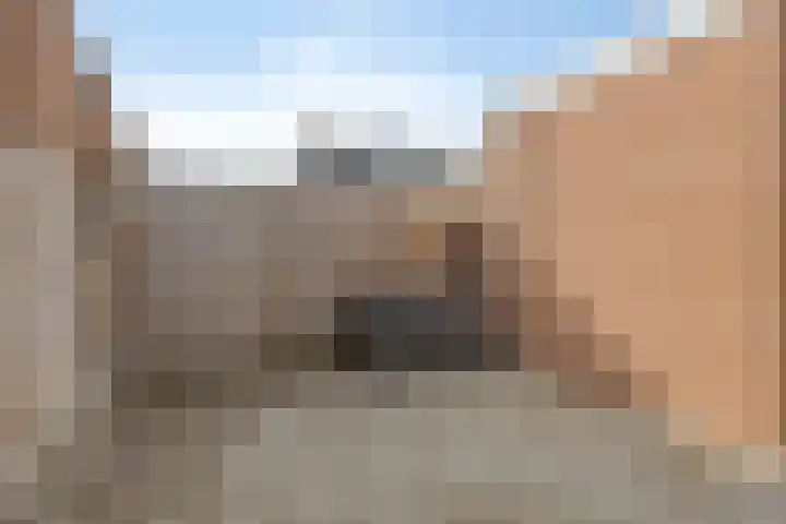 Uniabuert 6 Stiens thumbnail 21