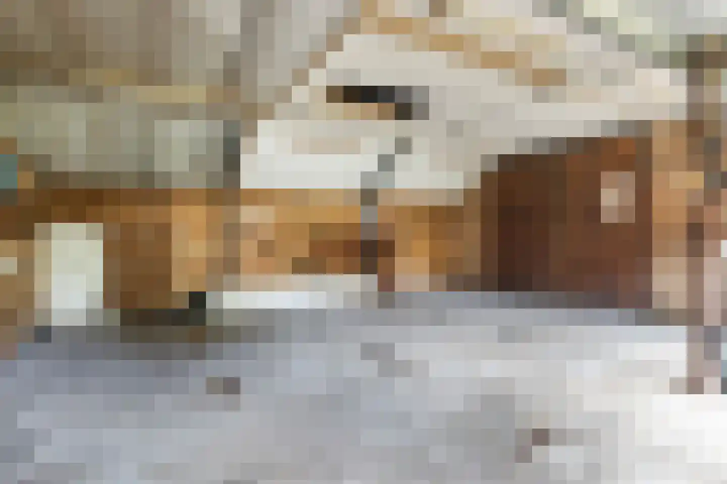 Uniabuert 9 Stiens thumbnail 27