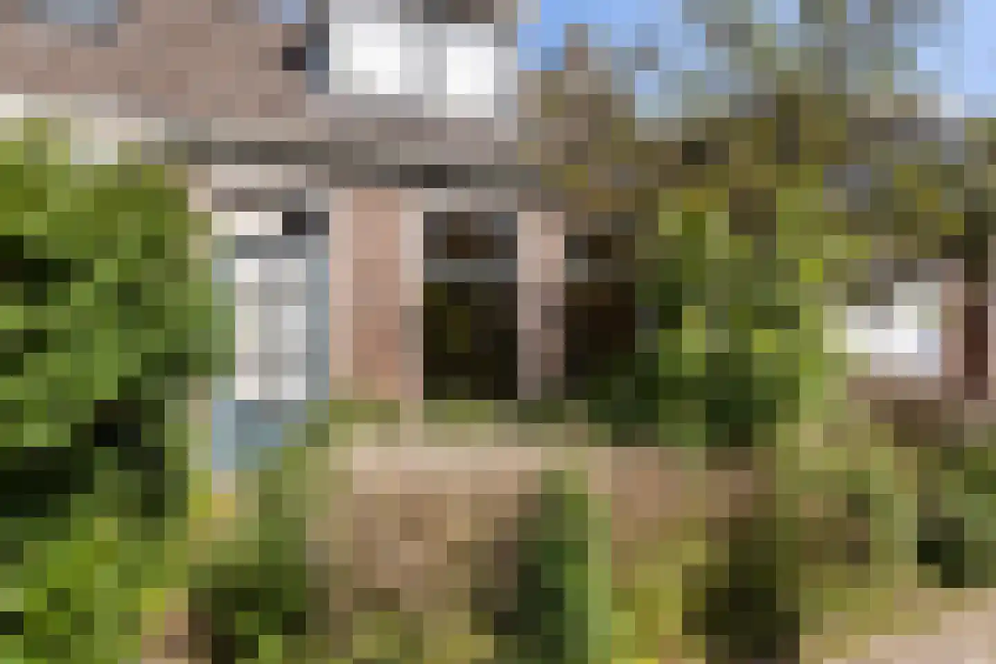 Uniabuert 9 Stiens thumbnail 29