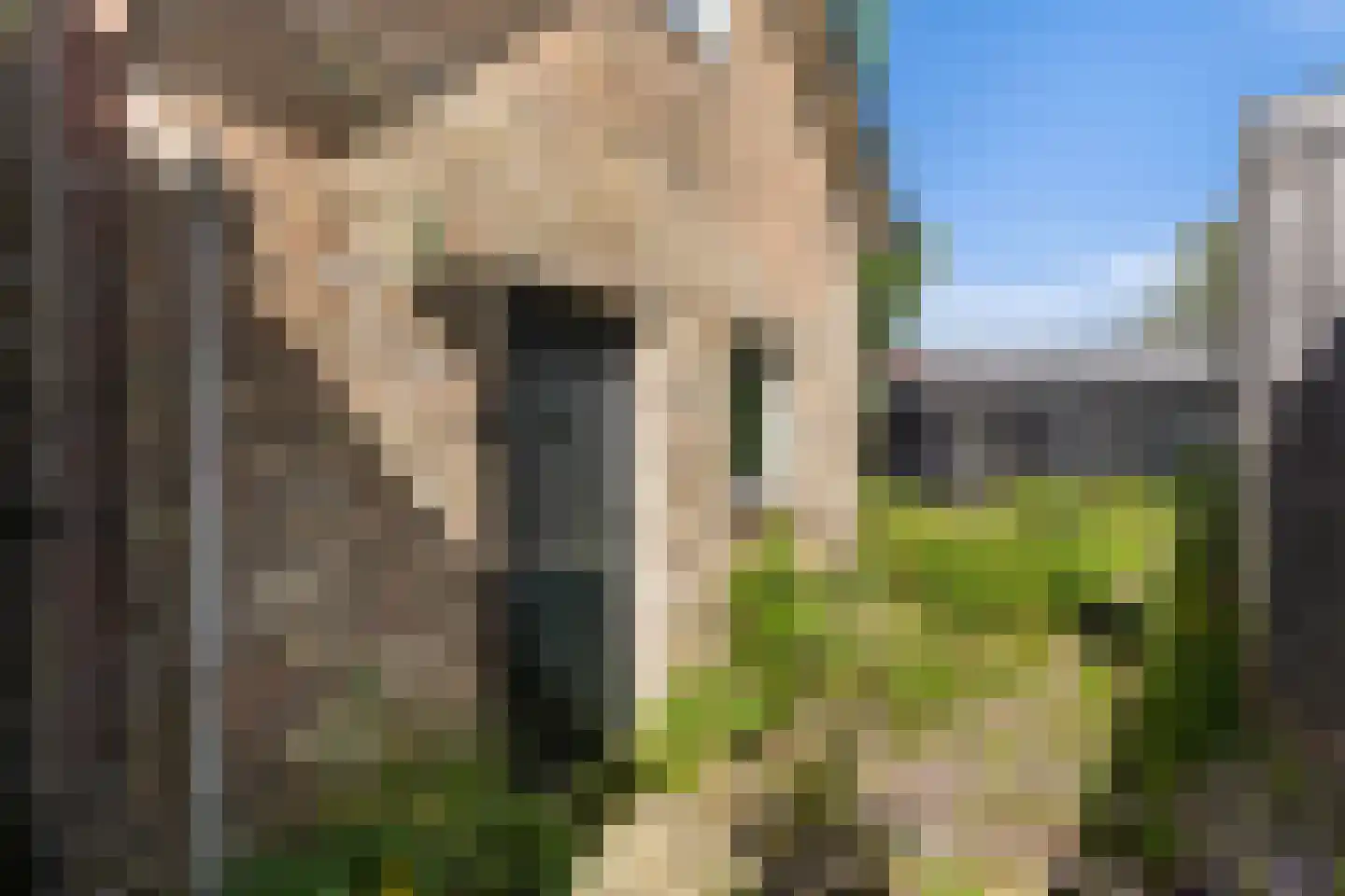 Uniabuert 9 Stiens thumbnail 30