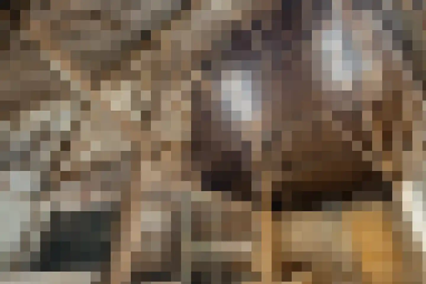Uniastrjitte 18 Ie thumbnail 26