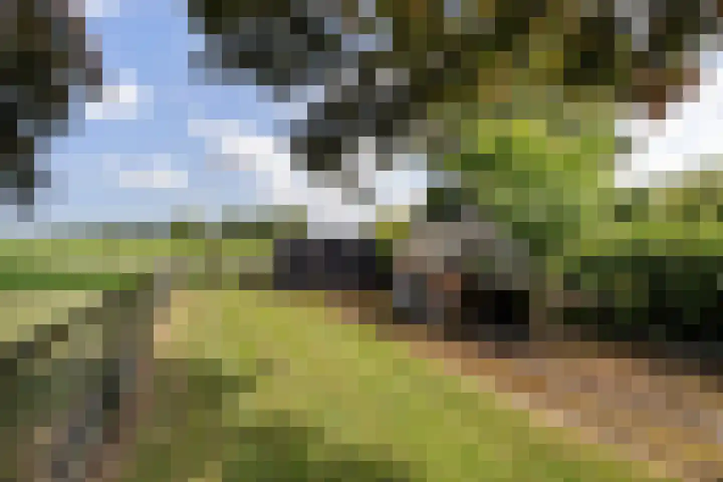 Uniastrjitte 18 Ie thumbnail 28