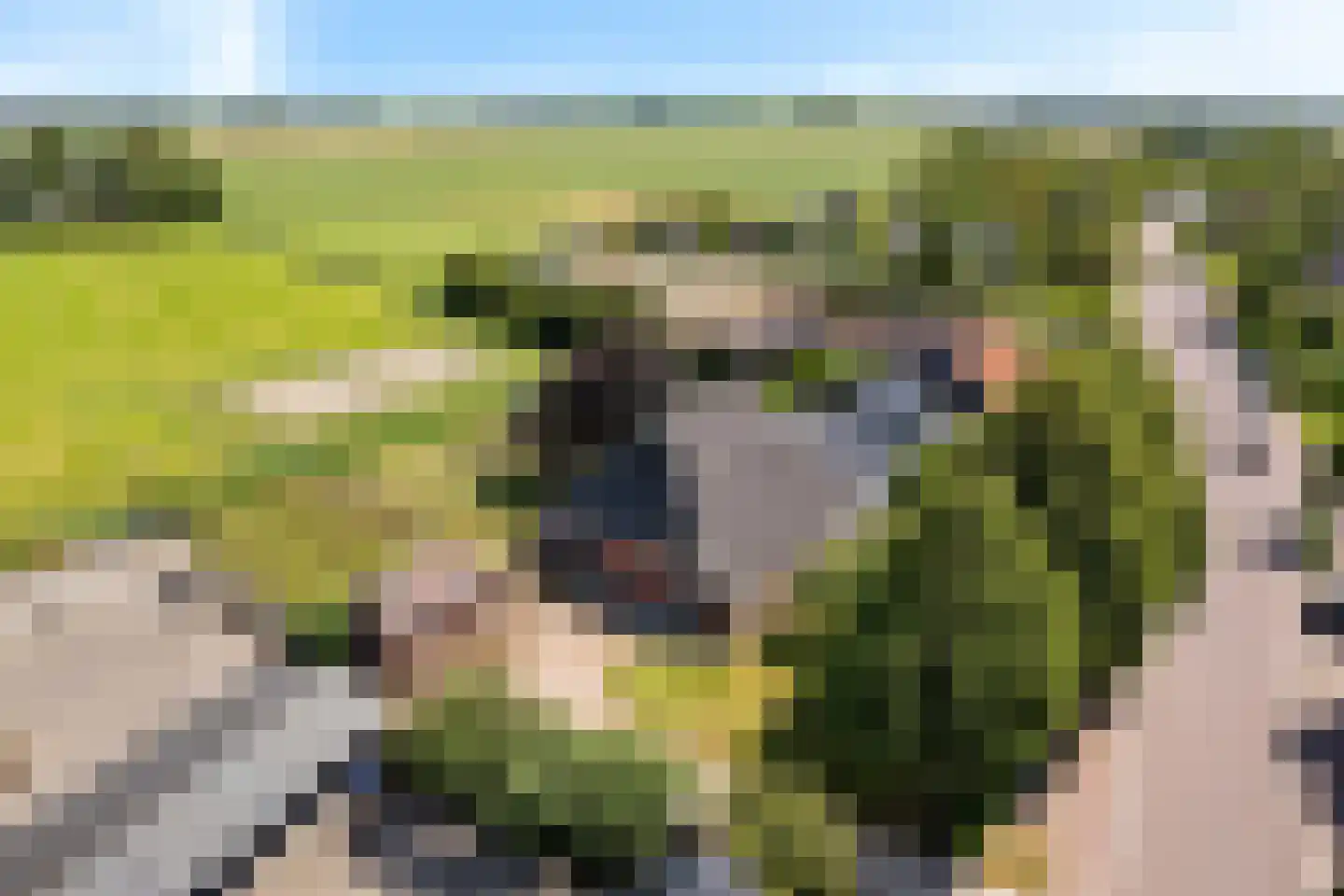 Uniastrjitte 18 Ie thumbnail 4