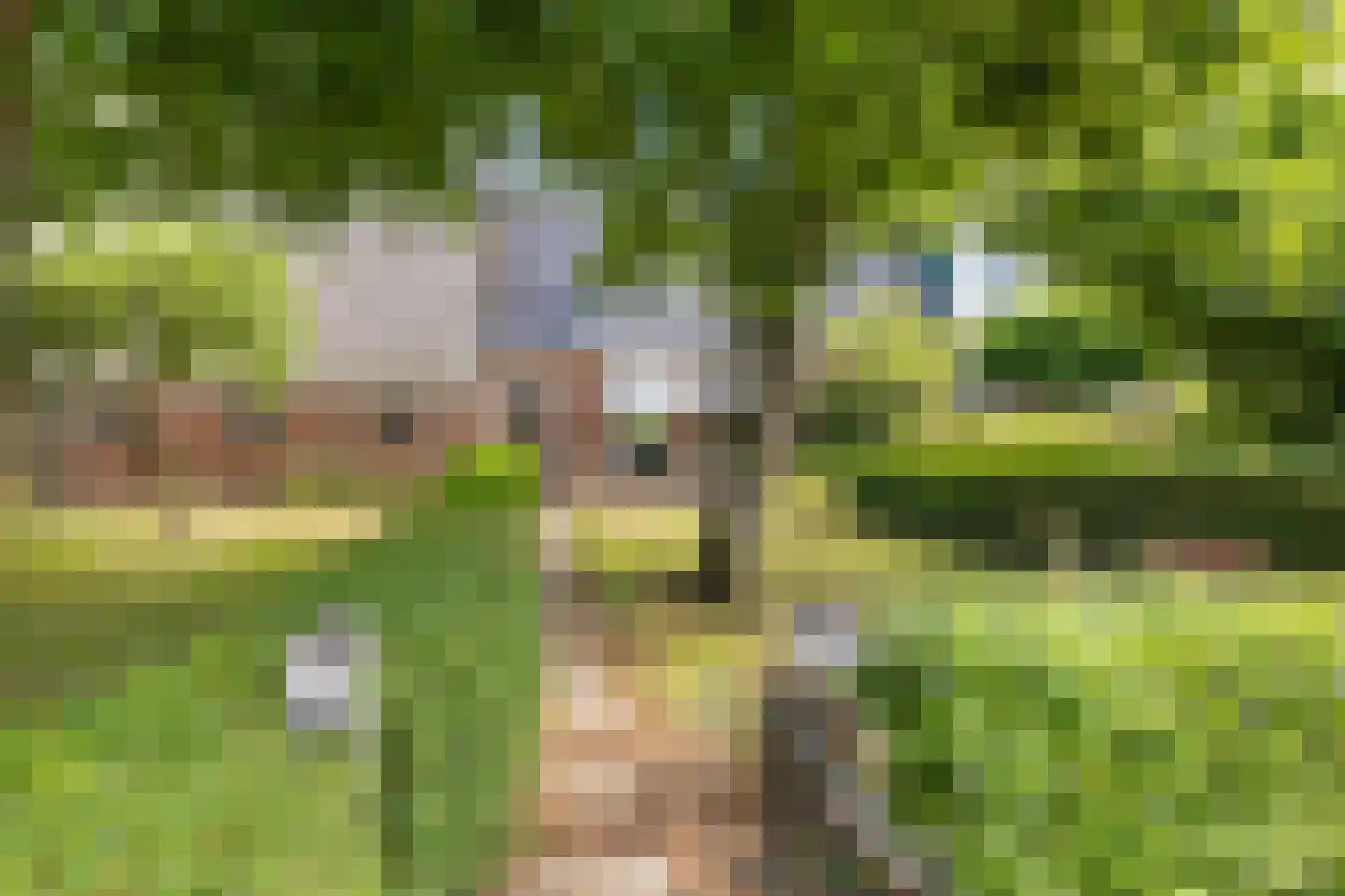 Uniastrjitte 18 Ie thumbnail 5