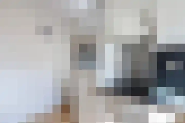 Uniastrjitte 18 Marsum thumbnail 19