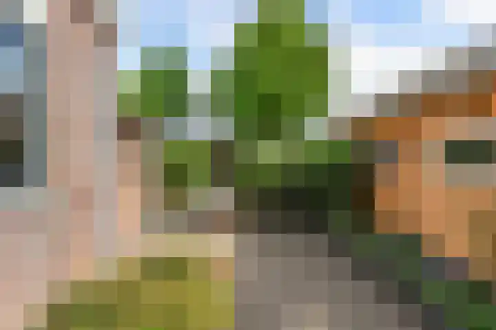 Uniastrjitte 18 Marsum thumbnail 32