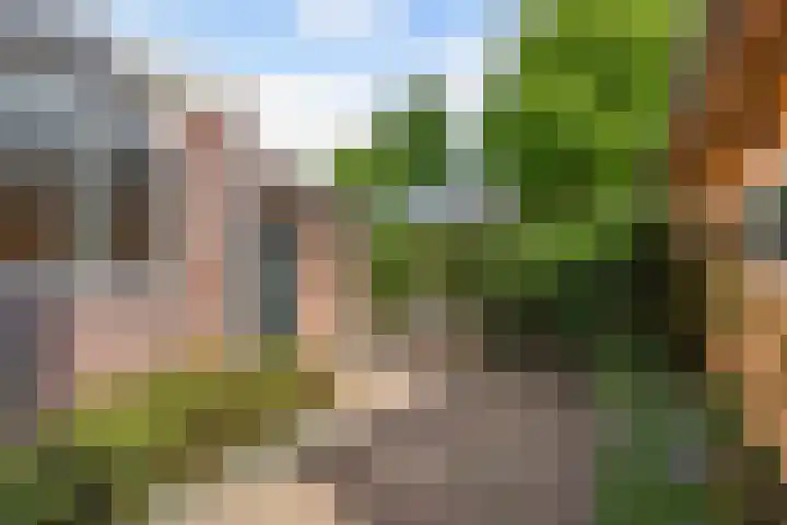 Uniastrjitte 18 Marsum thumbnail 36