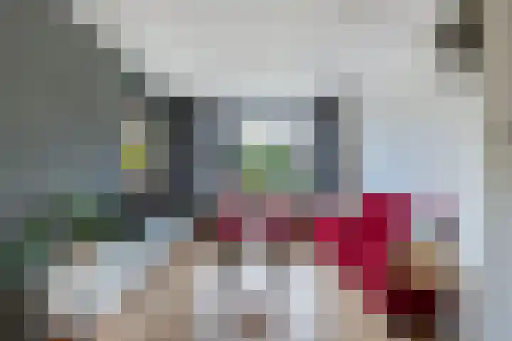 Uniastrjitte 18 Marsum thumbnail 9
