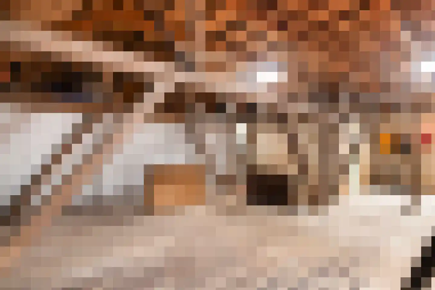 Uniastrjitte 2 Ie thumbnail 16