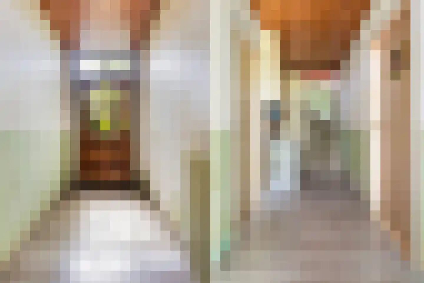 Uniastrjitte 2 Ie thumbnail 18
