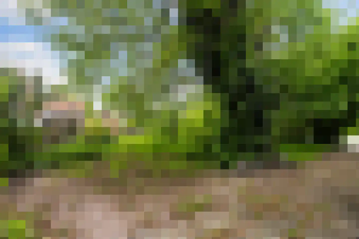Uniastrjitte 2 Ie thumbnail 37