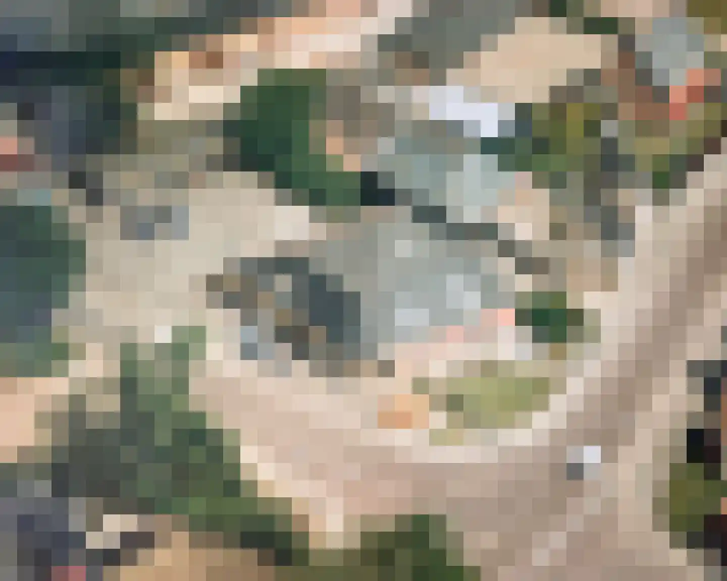 Uniastrjitte 2 Ie thumbnail 4