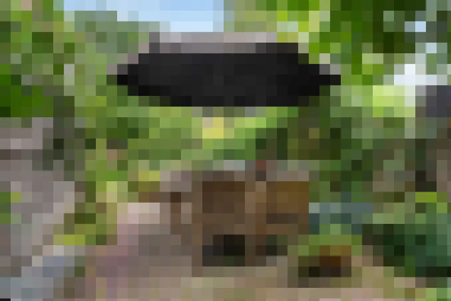 Uniawei 21 Stiens thumbnail 32